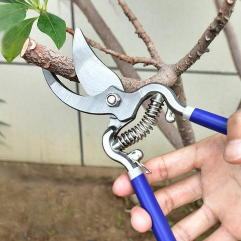 Portable Pruning Tools