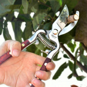 Portable Pruning Tools