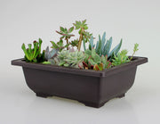 Garden antique flowerpot