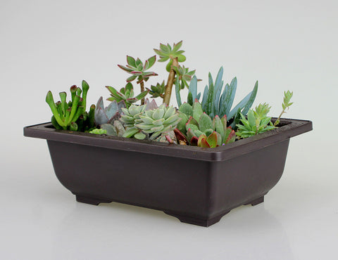 Garden antique flowerpot